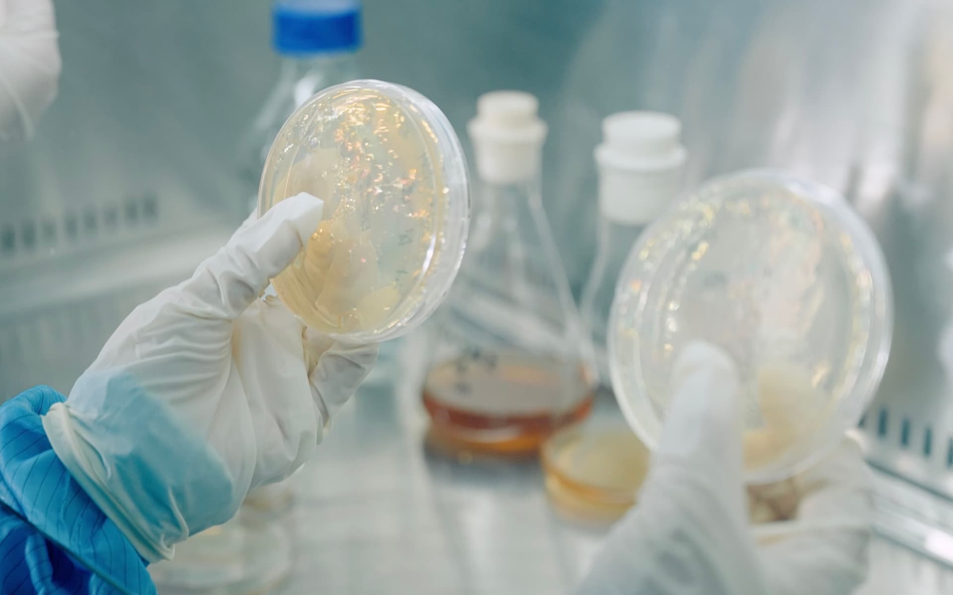 BONNEHEURE znanstveno utemeljeni razvoj kolagena